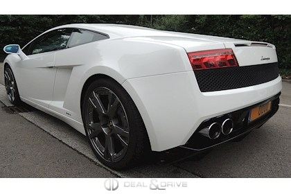 GALLARDO